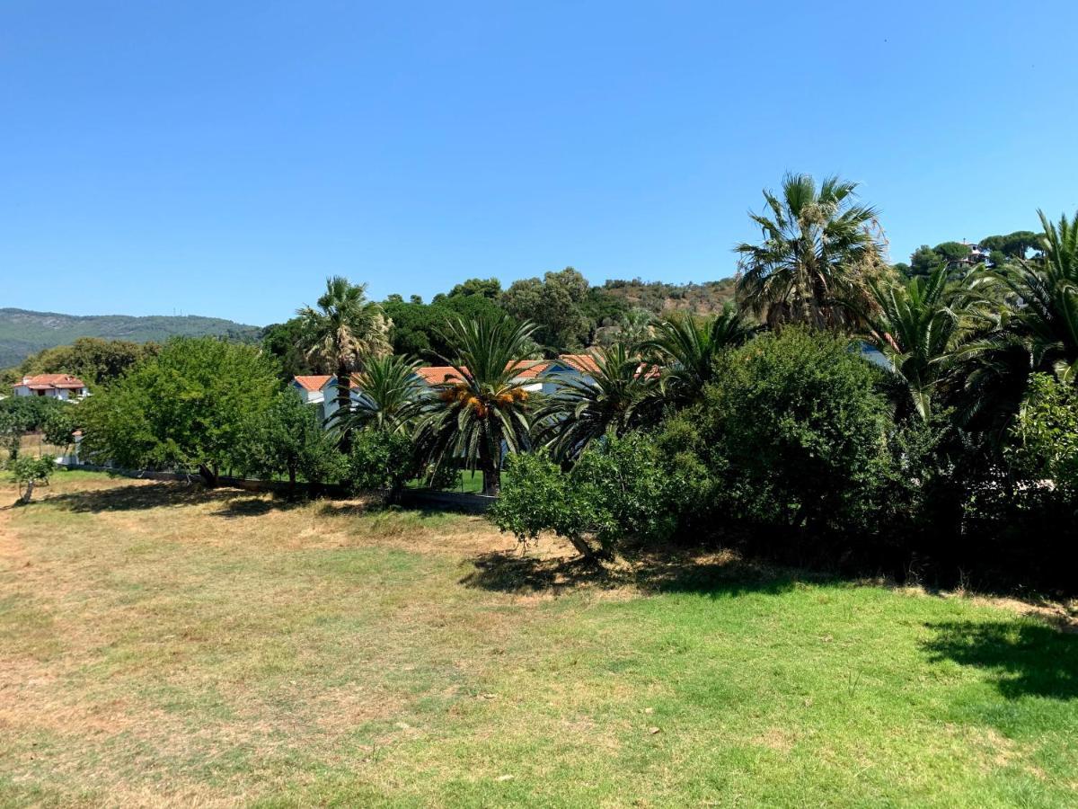 Villas Alexandra Skiathos Platanias  Екстериор снимка