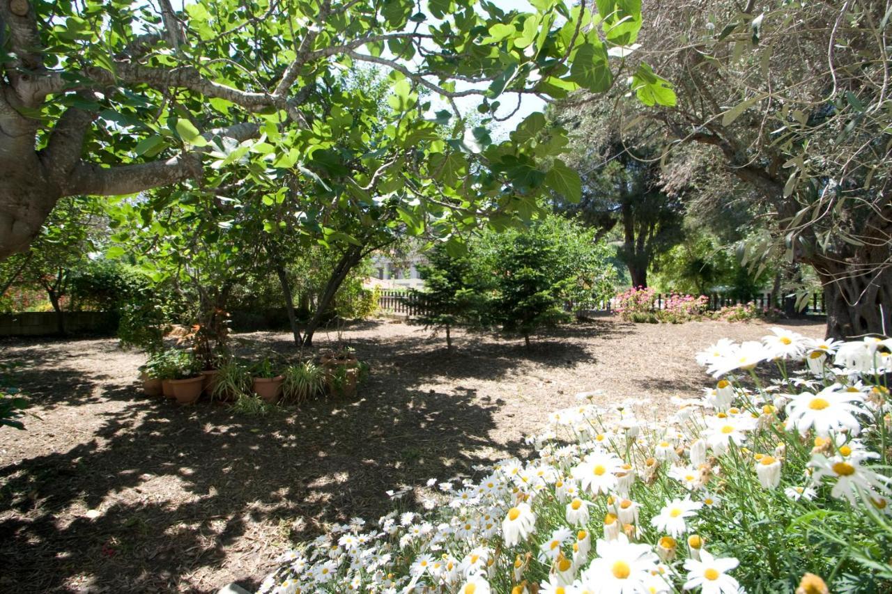 Villas Alexandra Skiathos Platanias  Екстериор снимка
