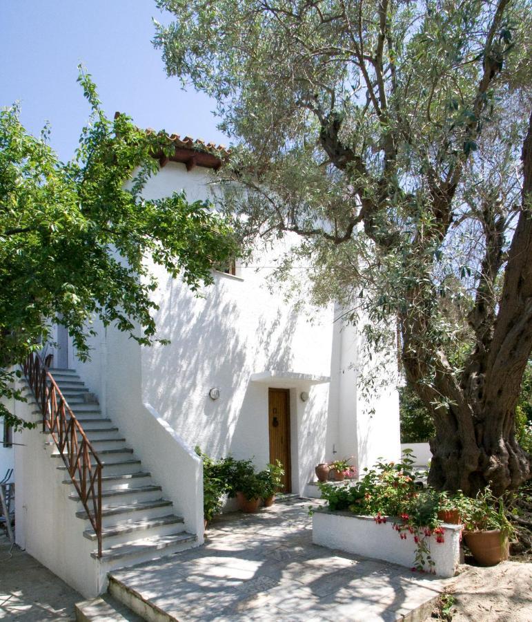 Villas Alexandra Skiathos Platanias  Екстериор снимка